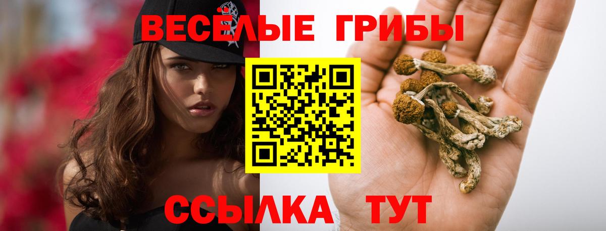 Галлюциногенные грибы Psilocybine cubensis  Вход с VPN  Нижнекамск 